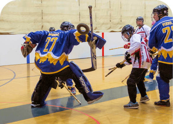 A disk hockey goalie defending the goal