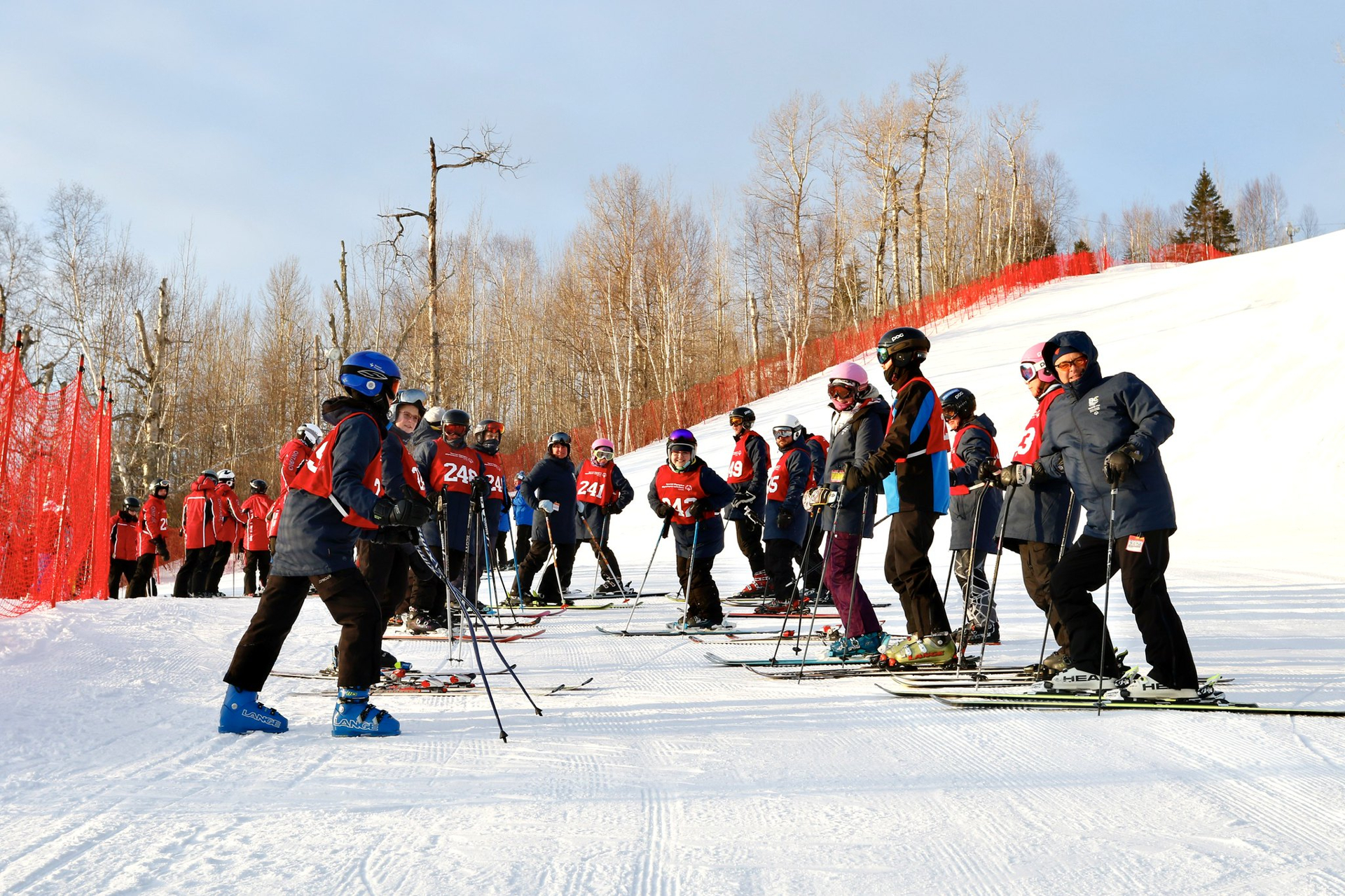 49589953931 046883a41b k